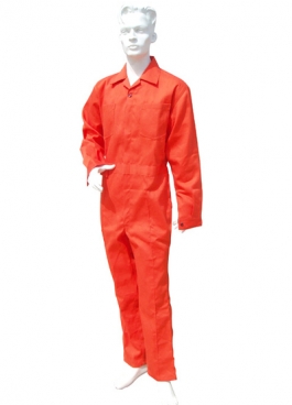 Nomex Work Coverall (317)